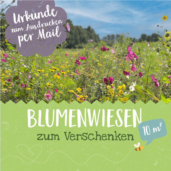 Blühpatenschaft - 10 qm Blumenwiese - Digitale Urkunde