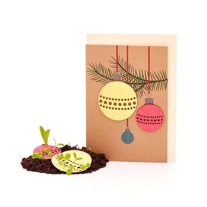 Weihnachtkarte mit Saatgut / Samen