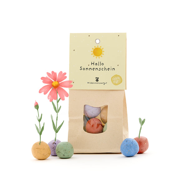 Papiertüte mit der Aufschrift „Hallo Sonnenschein“ und bunten Samenbomben, aus denen Blumen wachsen.