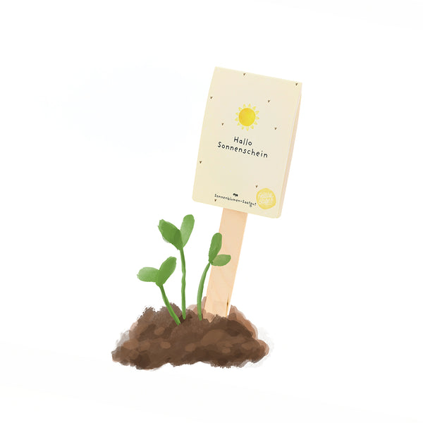 Jungpflanze sprießt aus Erde, daneben ein Holzstäbchen mit Schild "Hallo Sonnenschein".
