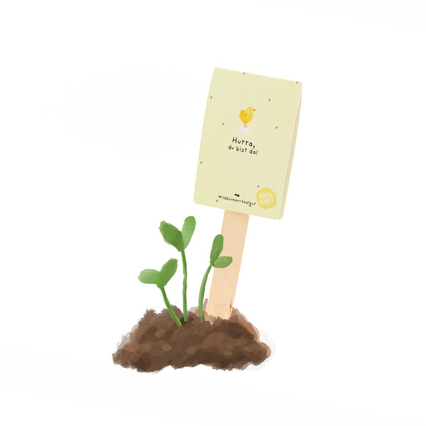 Illustration von kleinen grünen Pflänzchen, die aus Erde sprießen, daneben ein Schild mit der Aufschrift "Hurra, du bist da!" und einem gelben Küken.