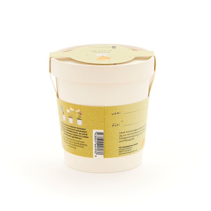 Beiger Pflanztopf mit gelbem Etikett und Aufschrift, Geschenkset zur Pflanzenanzucht.
