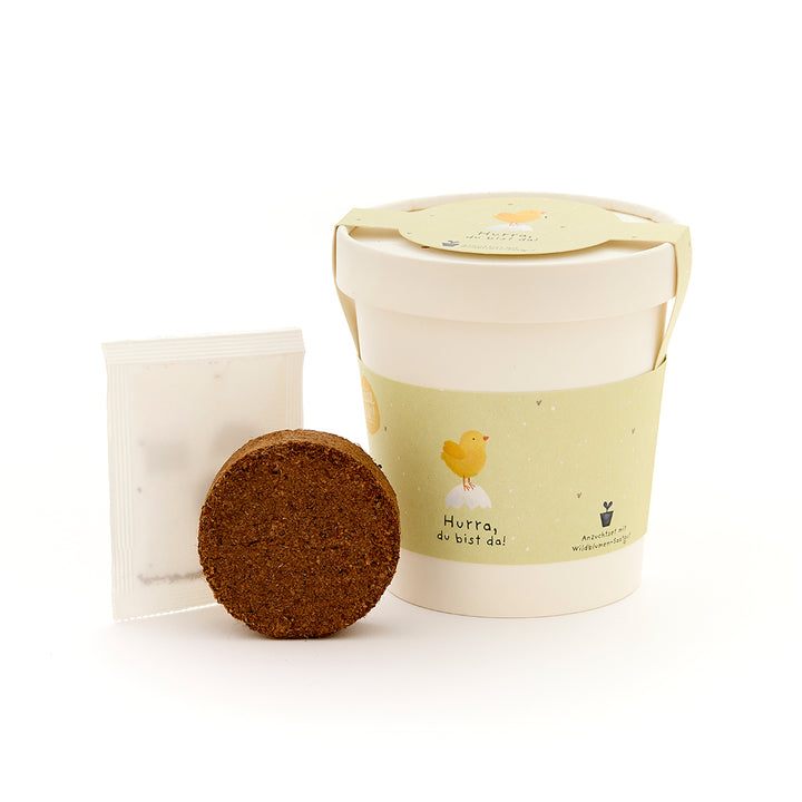 Pflanzset mit Becher, Erde und Samentüte, Becher mit grünem Etikett und gelbem Küken sowie der Aufschrift "Hurra, du bist da!".
