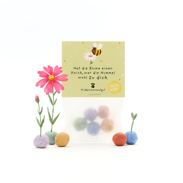 Tüte mit bunten Samenbällen, einigen blühenden Blumen und einem Etikett mit einer Biene und dem Spruch: „Hat die Blume einen Knick, war die Hummel wohl zu dick.“