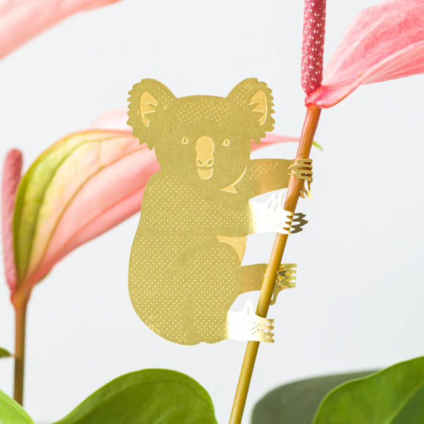 Pflanzentier Koala