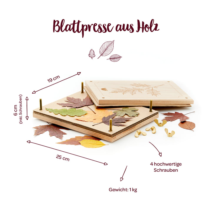 Holz-Blattpresse mit bunten Blättern, vier Schrauben und Maßen 25 x 19 x 6 cm, Gewicht 1 kg.