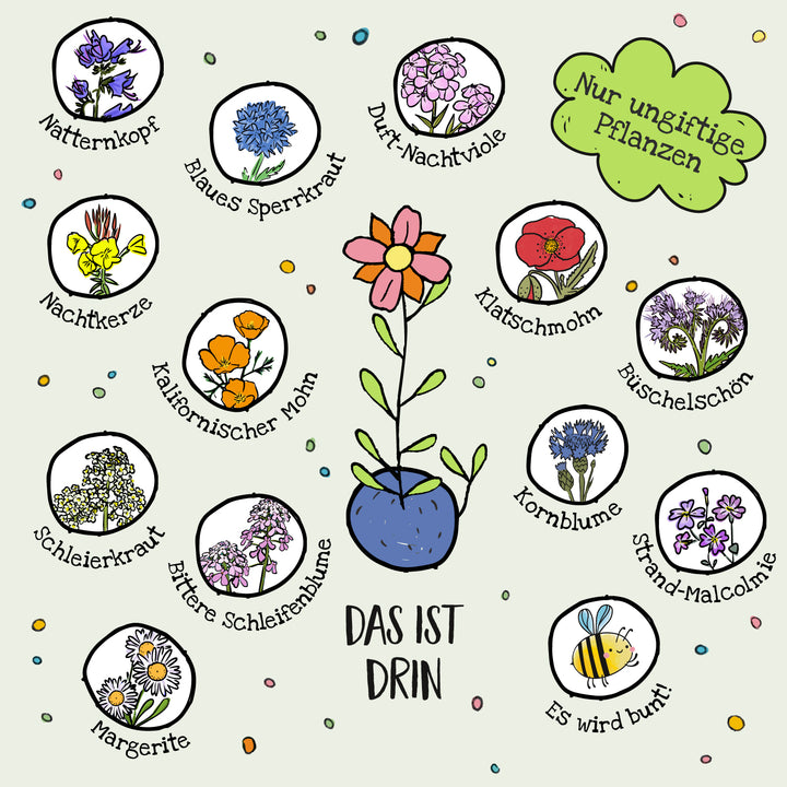 Illustration von verschiedenen ungiftigen Blumenarten mit ihren deutschen Namen im Kreis, darunter Natternkopf, Kalifornischer Mohn, Kornblume und Margerite; in der Mitte eine gezeichnete Blume in einer Vase, Text: „Nur ungiftige Pflanzen“ und „Das ist drin“.