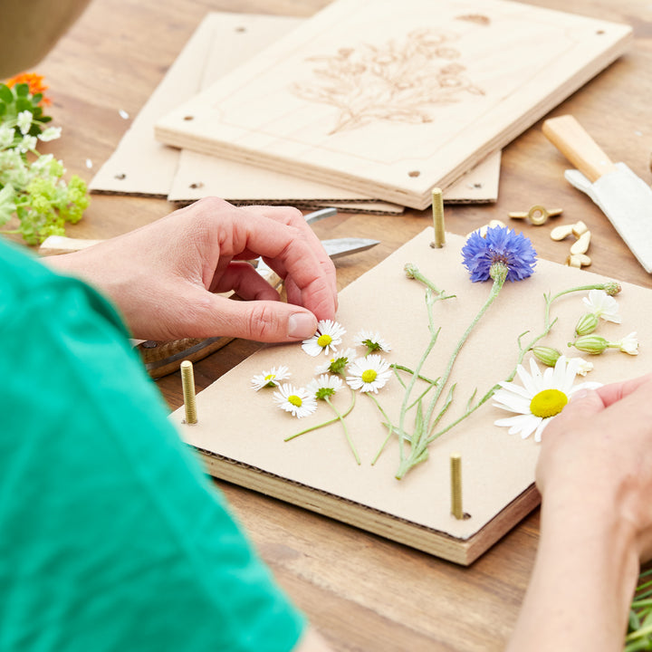 Person legt verschiedene Blumen, darunter Gänseblümchen und Kornblume, in eine Blumenpresse aus Holz auf einem Tisch.